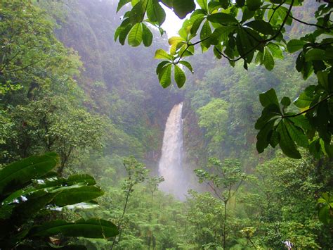 Trafalgar Falls Dominica The Whole Little Island Of Dominica Is A
