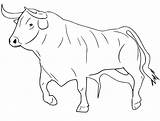 Bull Bullfighter sketch template