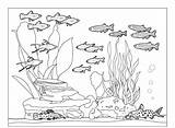 Coloring Fish Pages Aquarium Tank Underwater Ocean Fishes Sea Printable Community Cat Animals Water Whith Preschool Habitat Nature Life Popular sketch template
