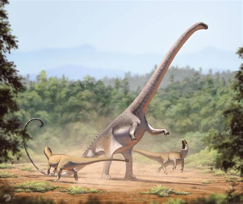 barosaurus  fredthedinosaurman  deviantart