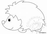 Hedgehog Coloring Reddit sketch template