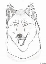 Husky Coloring Sketch Face Pages Siberian Drawings Easy Deviantart Clipart Template Library Popular sketch template