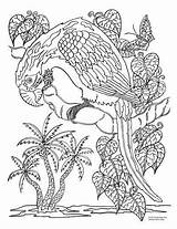 Coloring Pages Cleverpedia Embroidery sketch template