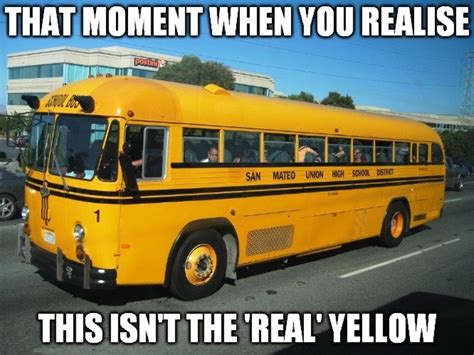 hilarious bus memes pictures funny memes