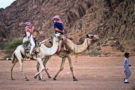 dos turistas montados en camello son guiados por internacional