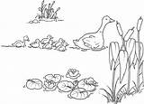 Anatroccolo Brutto Patito Feo Cuentos Colorir Cuento Patos Ugly Duckling Patinho Animais Fichas Feio Canard Patinhos Riscos Bordar Ducklings sketch template