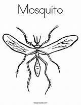 Coloring Mosquito Print Pages Outline Color Favorites Login Add Twistynoodle Printable Getcolorings sketch template