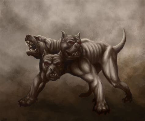 cerberus  dedite  deviantart