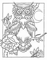 Coloring Pages Adults Owl Choose Board Whimsical sketch template