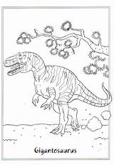 Da Colorare Gigantosaurus Dinosauri Coloring Dinosauro Visita Dinosaurs Kids Disegni Per sketch template