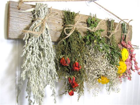 Dried Herbs Projects Diy Projects Craft Ideas And How To’s