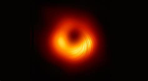did supermassive black holes collapse directly out of giant clouds of