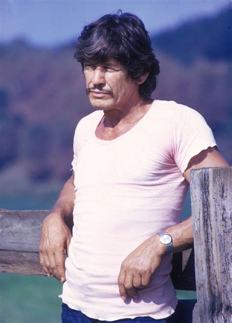 charles bronson biographies movies facts britannica