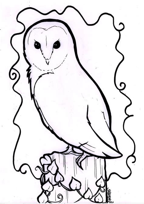 drawing  owl  getdrawings