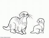 Coloring Otter Pages Color Otters Print Kids Printable Sea Simple Colour Drawings Animals Choose Board Template Popular Animal sketch template