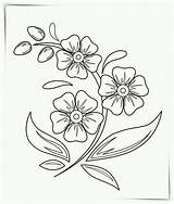Flores Hermosas Ramo Disegni Rosas sketch template