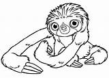 Sloth Croods Sloths Toed Kidsplaycolor sketch template