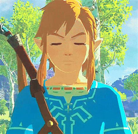 Pin By Firelight17 On Breath Of The Wild Ii Legend Of