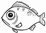 Fish Drawing Drawings Kids Easy Pencil Simple Line Clipart Coloring Outline Tropical Pages Bass Sketches Baby Cliparts Sketch Cartoon Perch sketch template