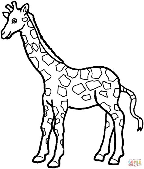 giraffes coloring pages  coloring pages giraffe coloring pages
