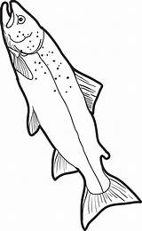 Fish Coloring Pages Realistic Kids Printable Colouring Trout Template Print Real Patterns Animal School Walleye Sheets Outline Fishing Ocean Book sketch template