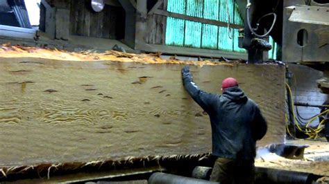 Hull Oakes Lumber Company Main Saw Cutting Huge Doug