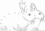Dot Rabbits Connect Dots Rabbit Together Two Worksheet Kids Printable sketch template