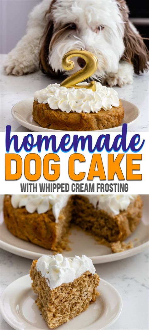 homemade dog birthday cake recipe dog cake recipes dog treats