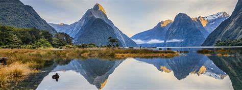 see top things to do in milford sound aat kings