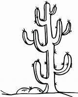 Cactus Coloring Pages Spine Saguaro Drawing Color Clipartmag Print Getcolorings Printable sketch template