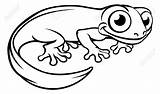 Newt Cartoon Salamander Clipart Coloring Outline Character Illustration Illustrations Stock Clip Royalty Vectors Vector Lizard Clipground Dreamstime Now sketch template