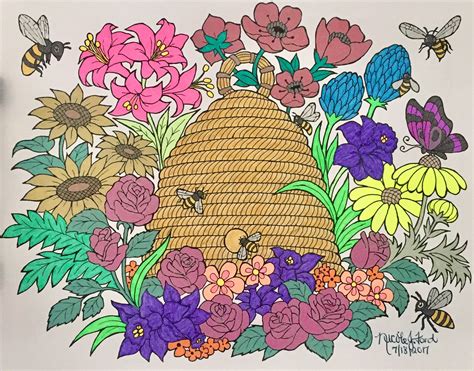 colorful blissful scenes coloring book
