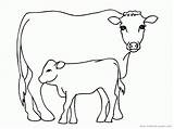 Printable Cow Template Coloring Popular Pages sketch template
