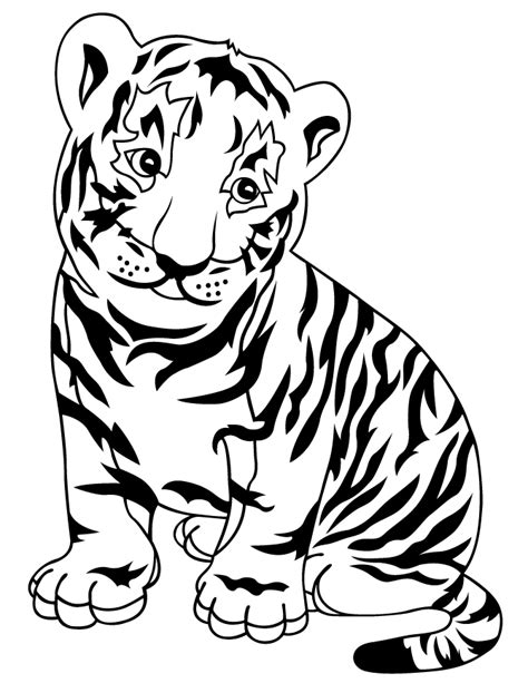 tiger outline drawing   tiger outline drawing png