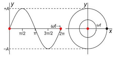 relation  simple harmonic motion  circular motion qs study