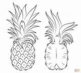 Ausmalbilder Ananas Pineapple Section Cross sketch template