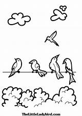Coloring Birds Treetops Flock Designlooter 2480 13kb sketch template