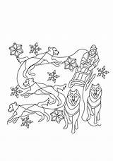 Coloring Dog Sled Pages Drawing Printable Color Getdrawings Popular sketch template