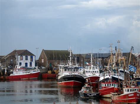howth  photo  freeimages