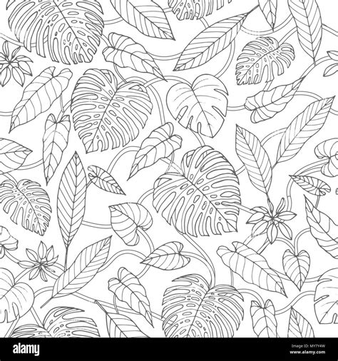 jungle leaves coloring pages  coloring pages