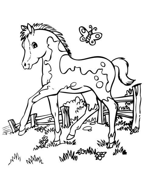 cute pony coloring page  horse coloring pages horse coloring