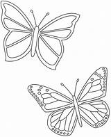 Borboleta Borboletas Butterflies Mariposas Bigactivities Pintar Papillons Mariposa Animais Papillon Ausmalbild Sponsored Perfil Educação Coloringcity Mur Soloinfantil sketch template