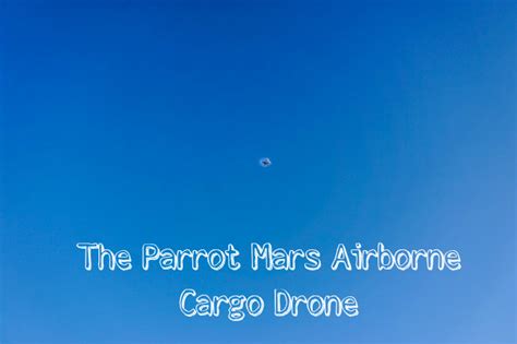 gift idea  tweens teens  parrot mars airborne cargo drone life  lisa