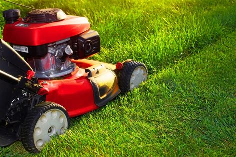 reasons    schedule  lawn mowing service