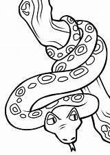 Schlange Serpente Schlangen Ausmalbilder Serpentes Snake Colorir Ausmalbild Q3 sketch template