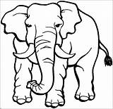Elephant Coloring Pages Elephants African Animals Angry Kids Drawing Line Print Safari Clipart Children Hi Clipartmag sketch template