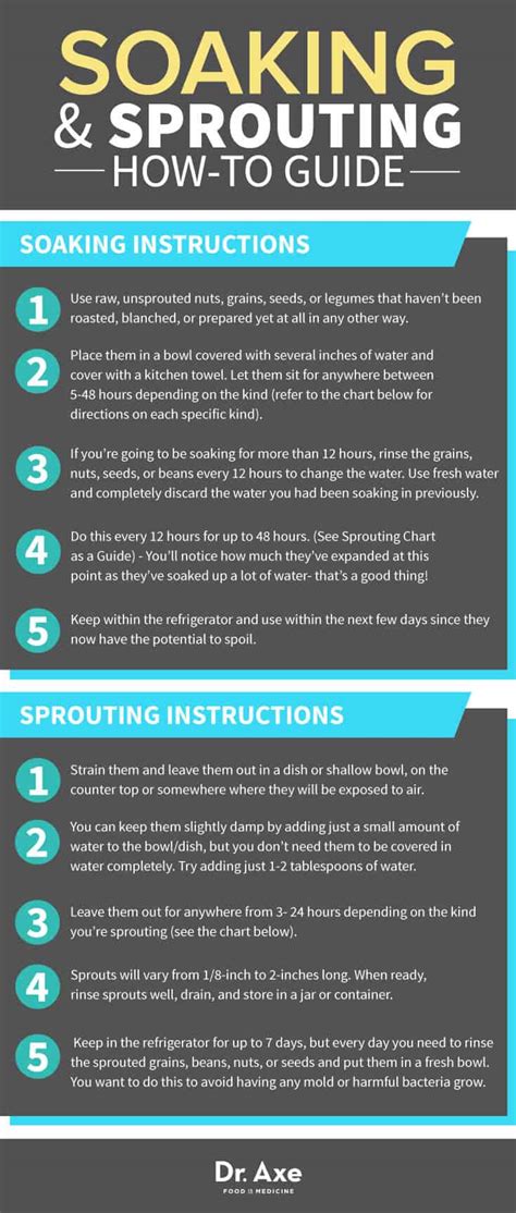 sprout guide how to sprout grains nuts and beans dr axe