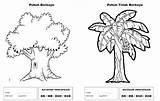 Mewarnai Tanaman Paud Tema Pohon Berkayu Mantul Hias Ini Bidang Tambahan Craon Memblok Tahap Menggunakan Teknik Merupakan Melakukan Metode Pemandangan sketch template