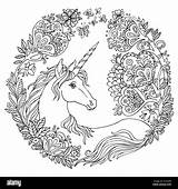 Unicorn Drawing Flowers Sketch Circle Coloring Freehand Magic Beauty Adult Color Vector Doodle Antistress Composition Tangle Elements Alamy sketch template