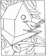 Coloring Pages Printable House Kids Adults Kid Bird Draw Sheets Birds Dementia Colouring Patients Templates Boys Adult Learn Easy Print sketch template